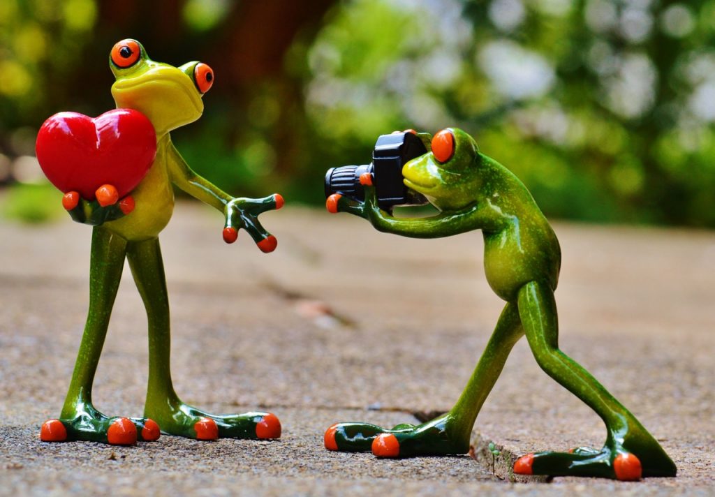 frogs-love-valentine-s-day-pose