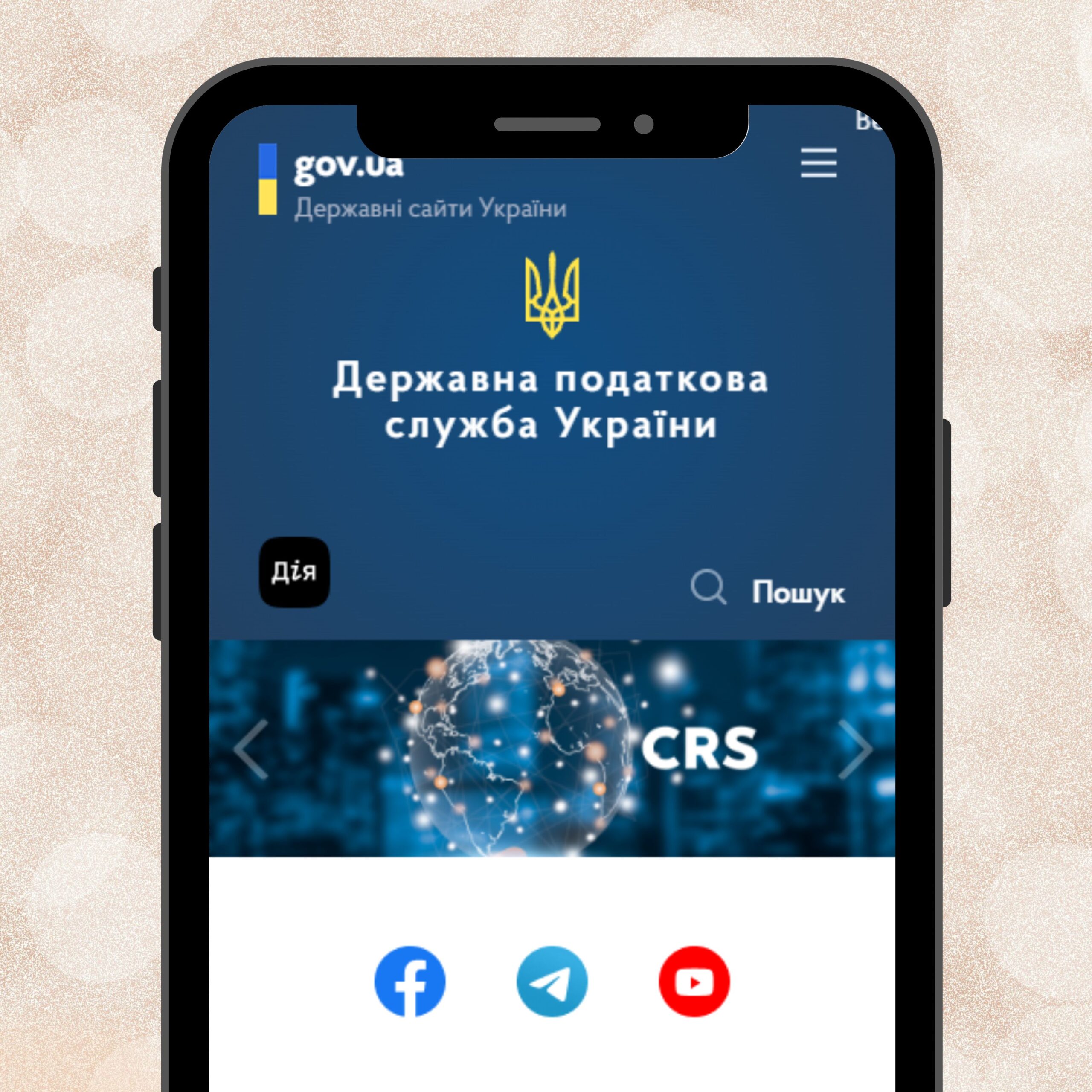 Державна податкова служба України